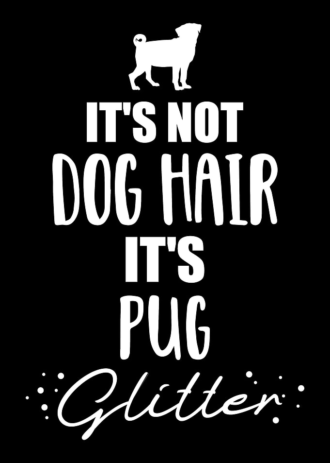 Pug