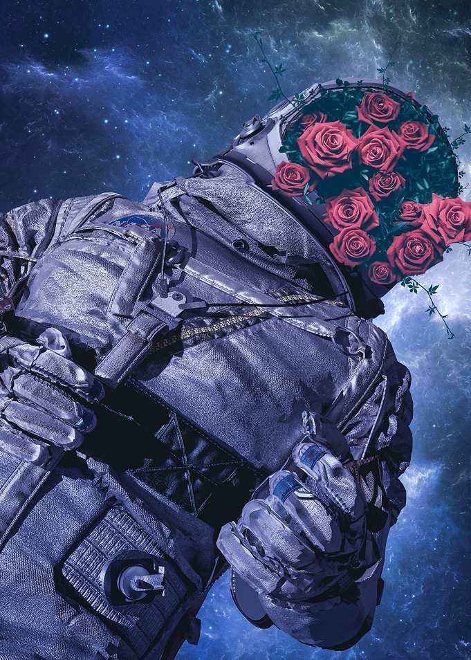 ASTRO N ROSES