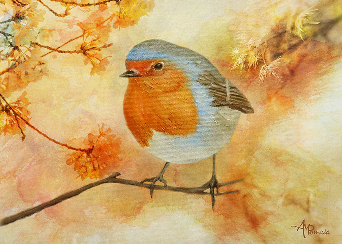 Robin Among Flowers