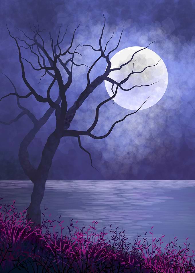 Night moon