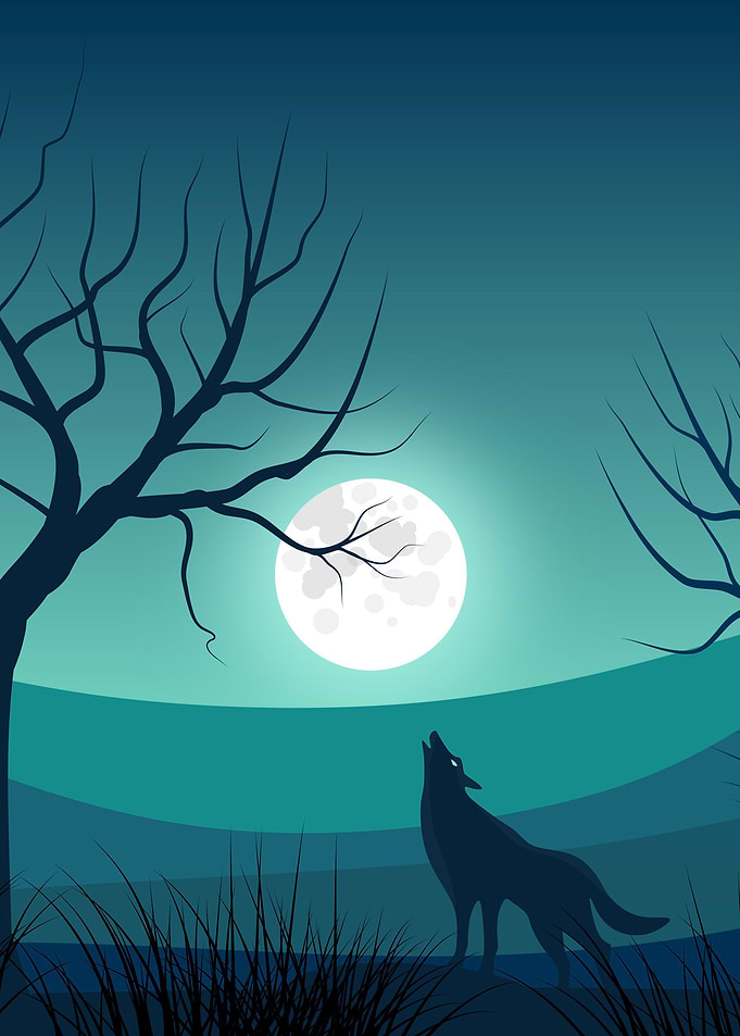 Howling Wolf