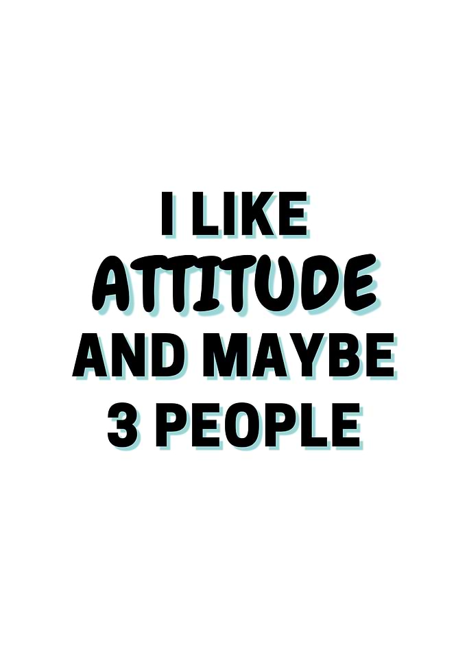 I Like Attitude And Maybe
