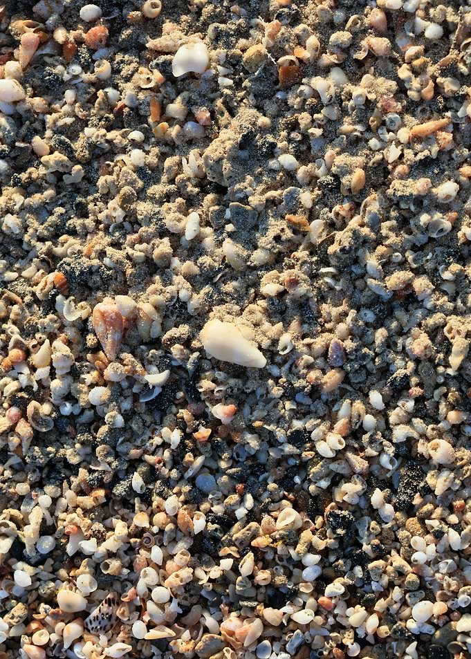Shells beach Elafonisi