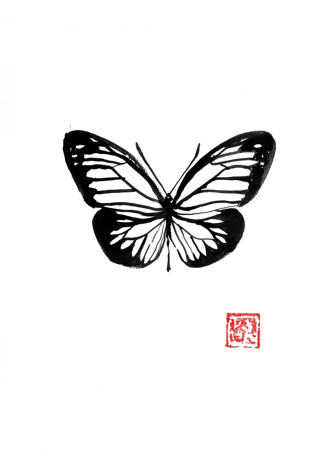 butterfly