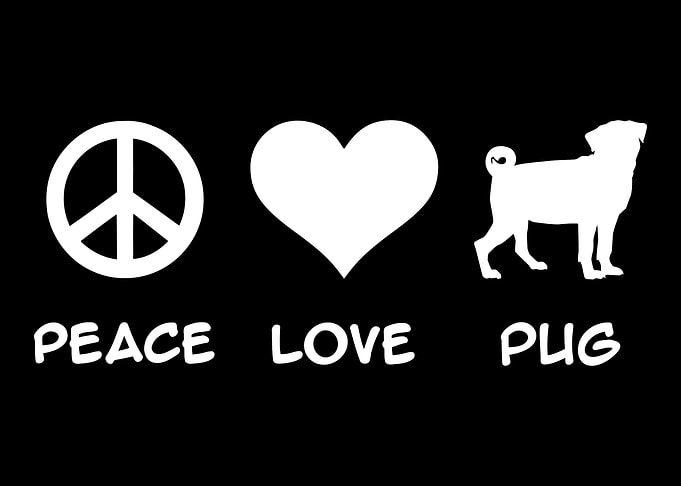 Pug