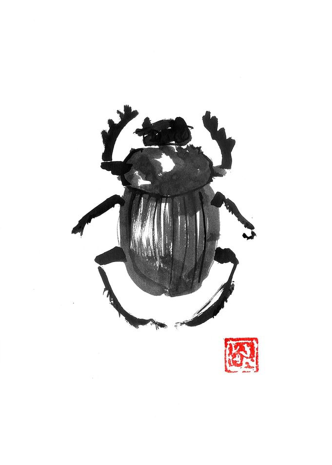 beetle 02