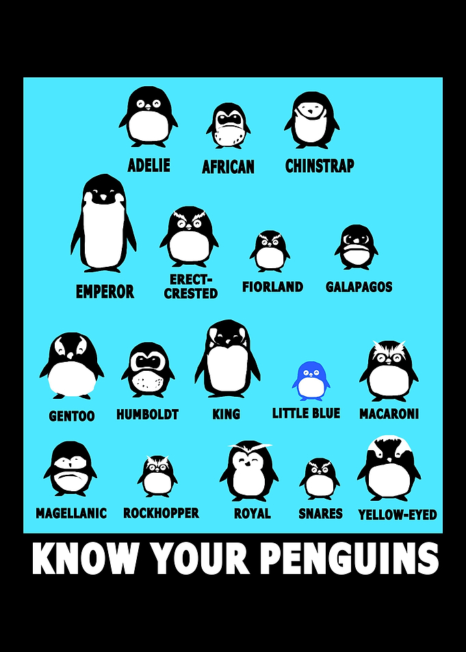 Penguin