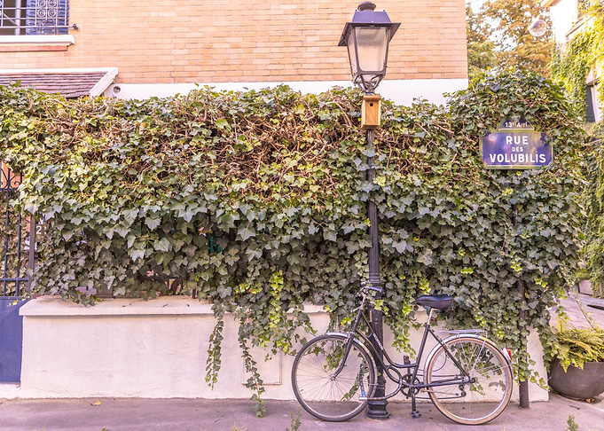 Parisian bikes