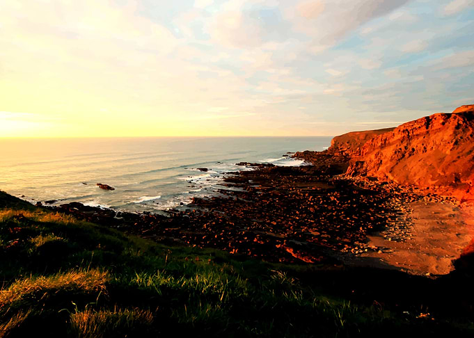 The Cove