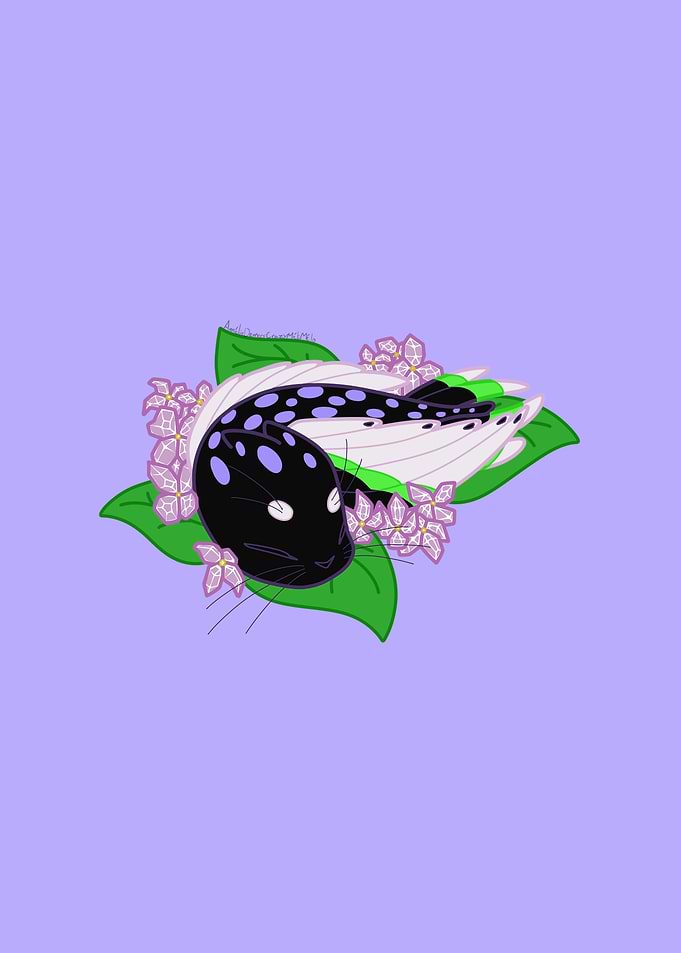 Sleepy Humseal