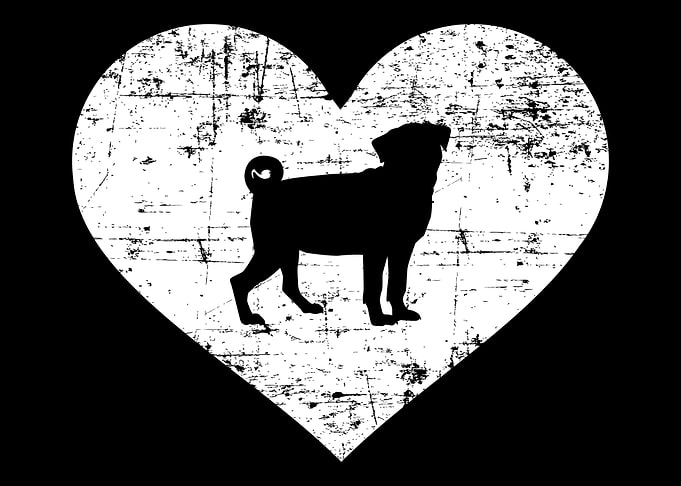 Pug