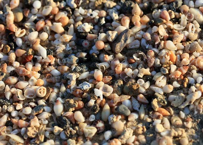 Shells beach Elafonisi