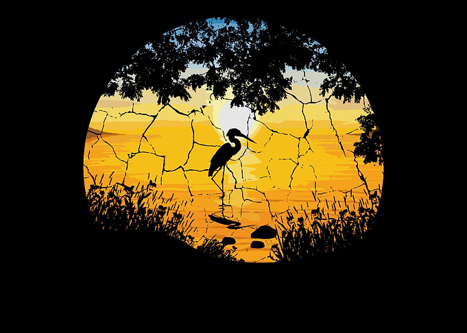Crane Lake Sunset Environm