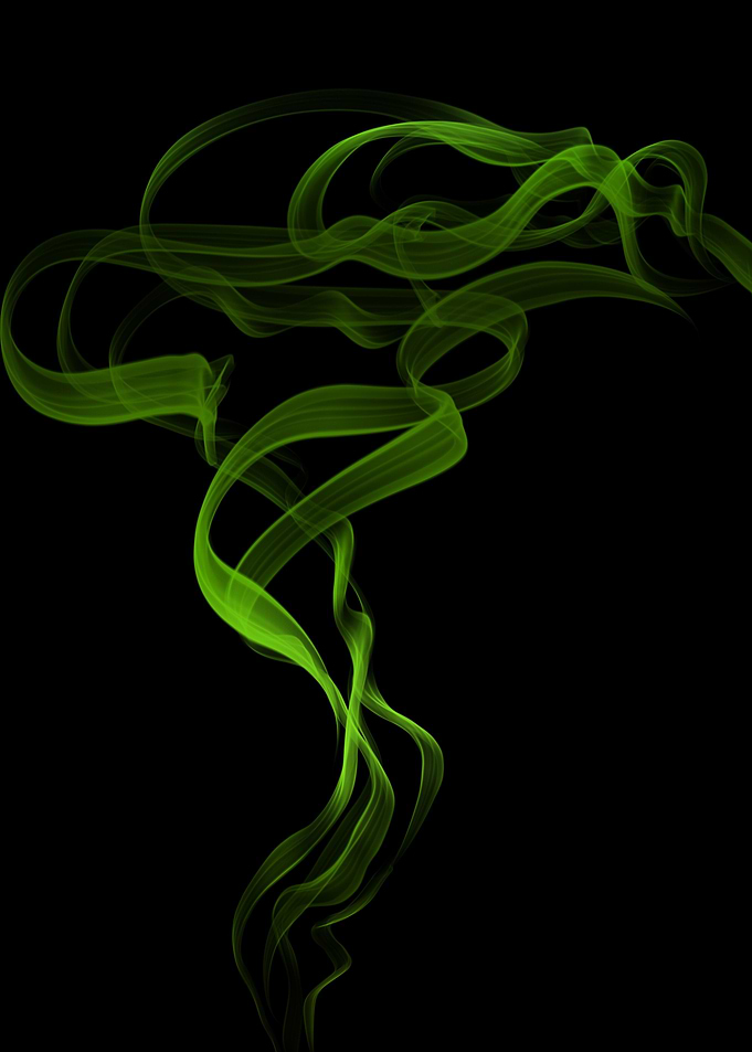 Cannabis Weed Marihuana
