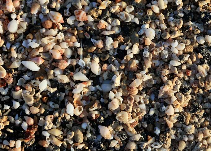 Shells beach Elafonisi