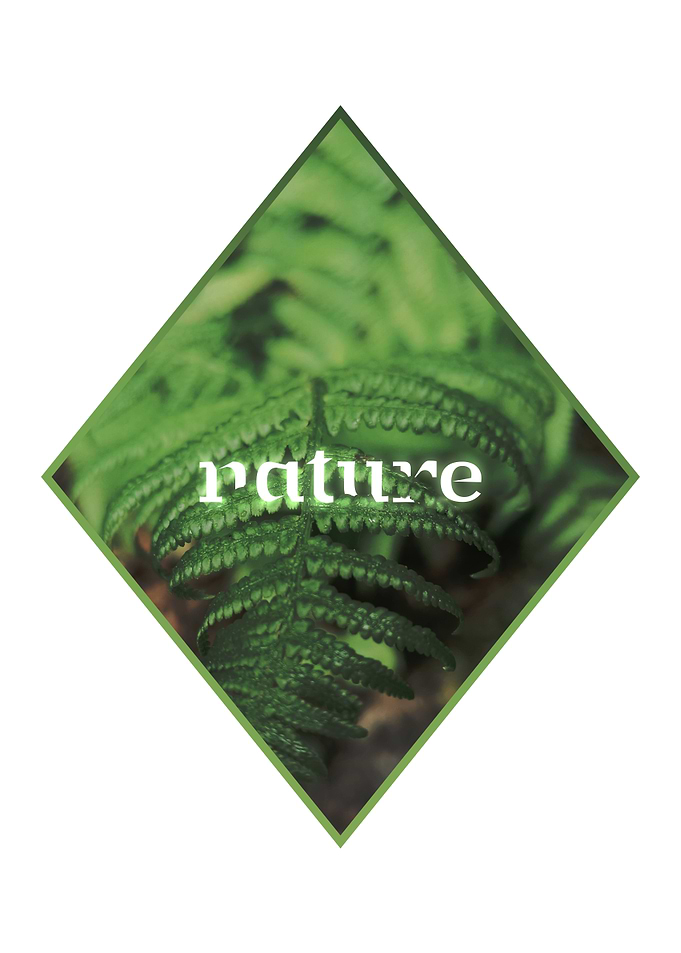 GEOMETRIC FERN