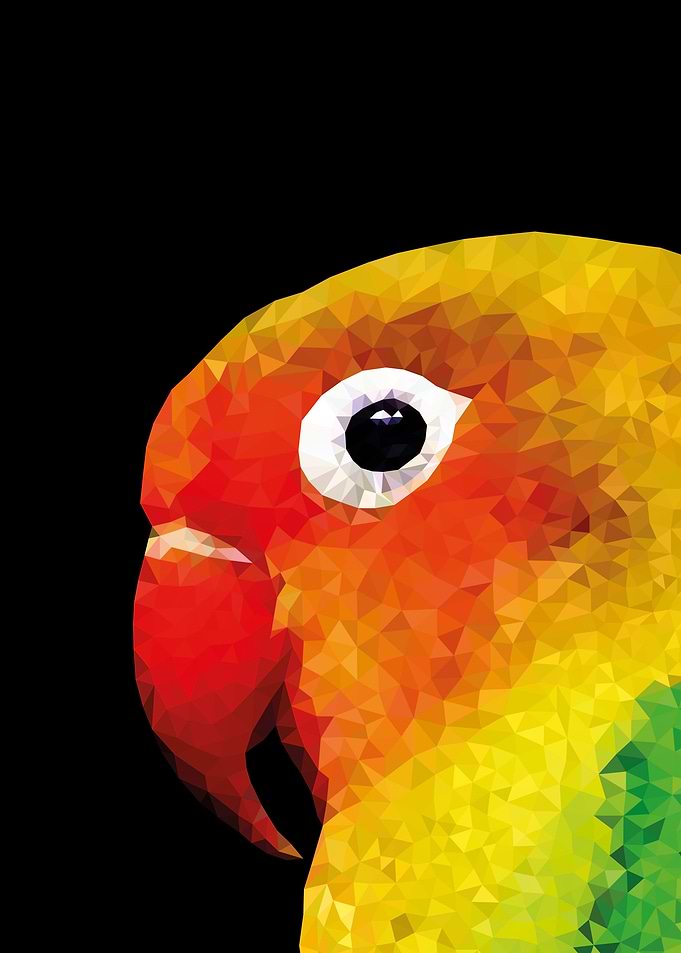 low poly parrot budgie