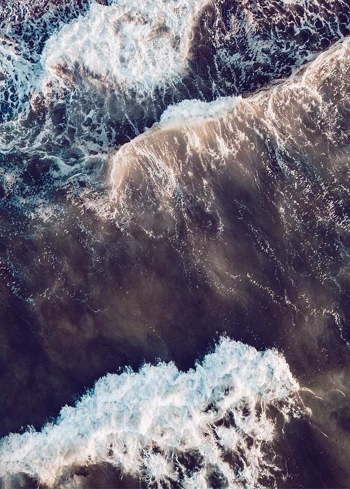 Wild Waves