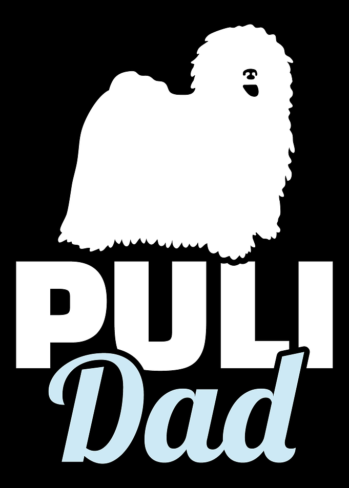 Puli