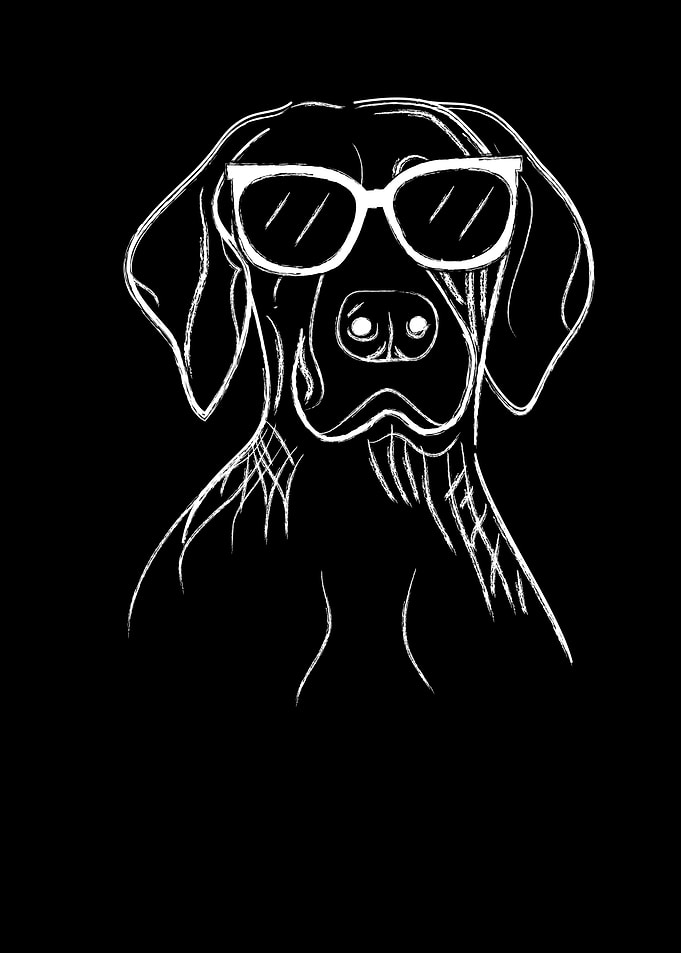 German Shorthair Pointer