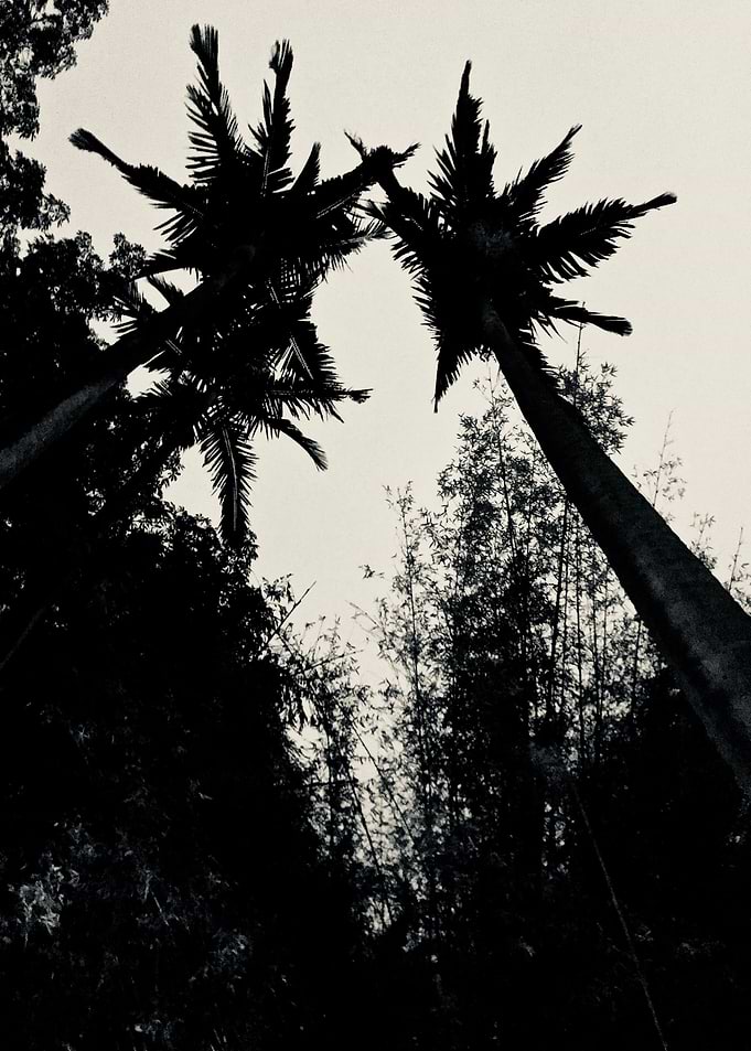 Dark Night VII