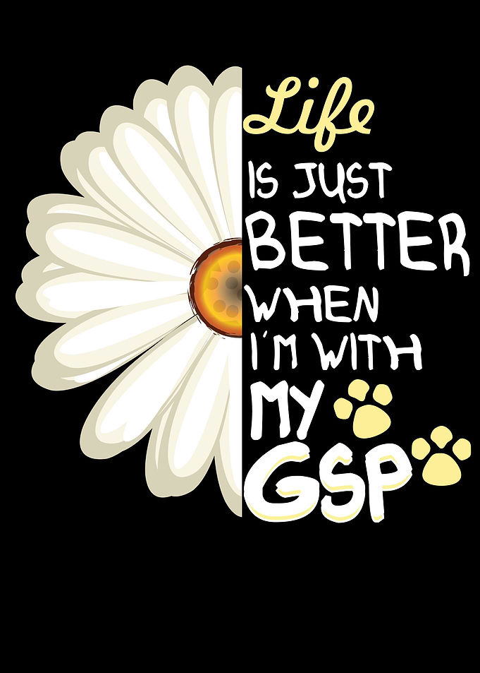 German Shorthair Pointer