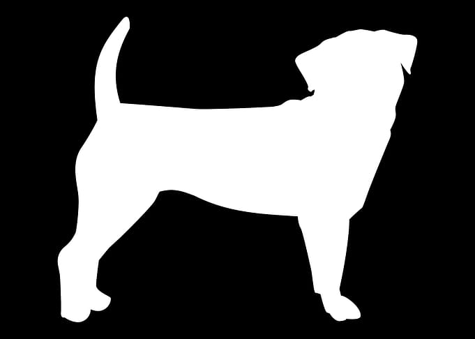 Puggle
