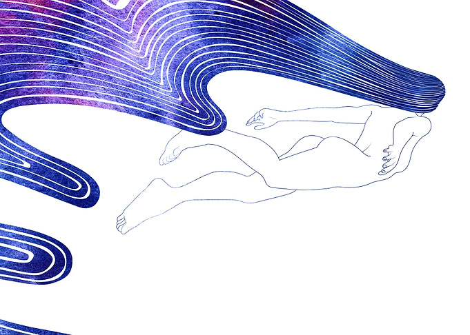 Nereid CI