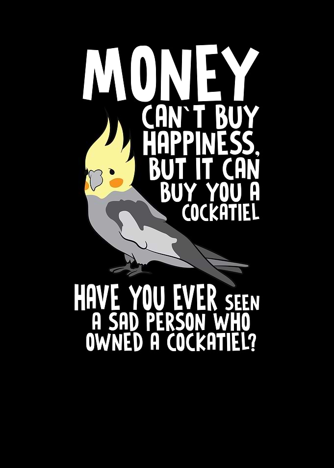 COCKATIEL Birds Funny
