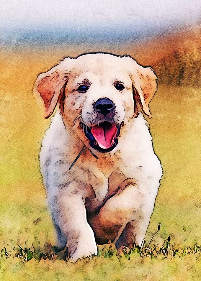 Cute Dog