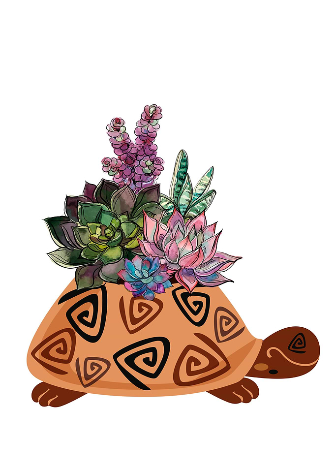 Turtle