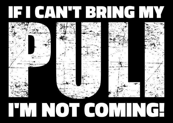 Puli