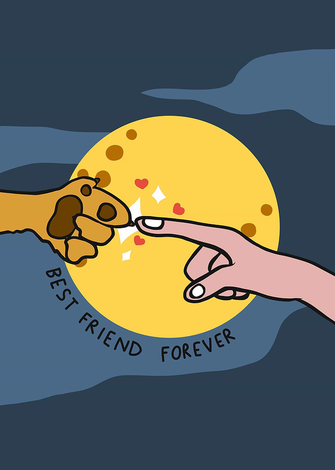 Dog paw and human friend