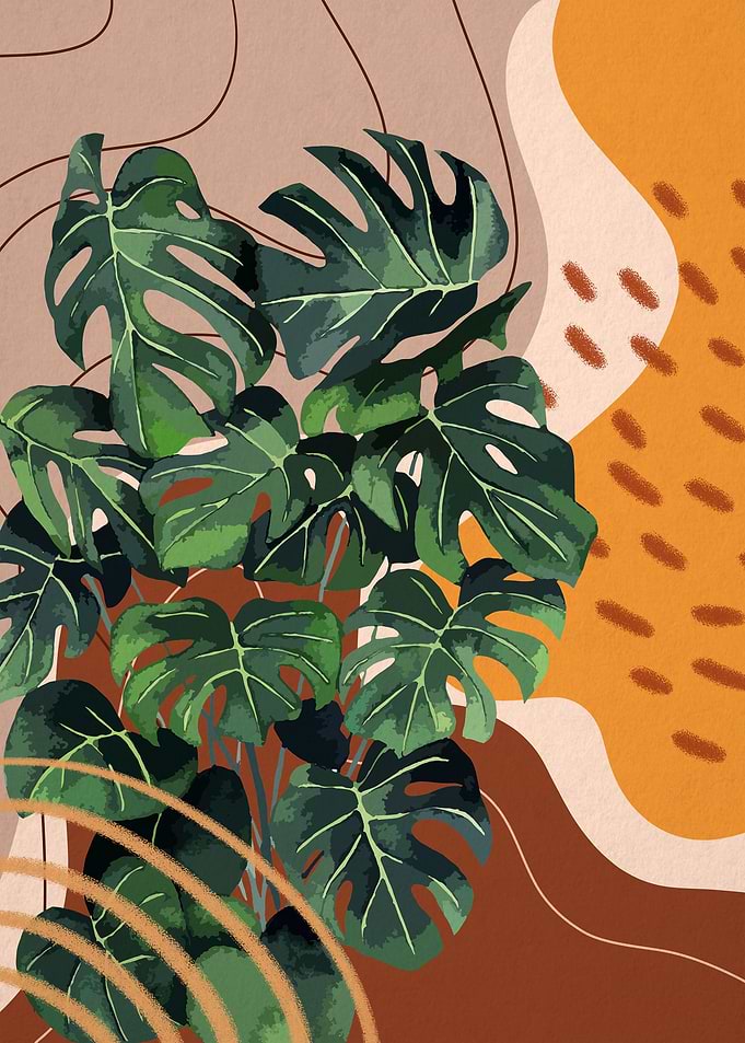Monstera plant art 7