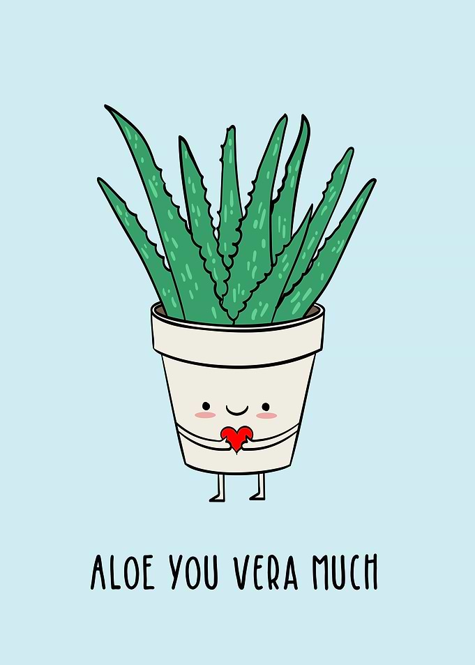 Aloe You Vera Much