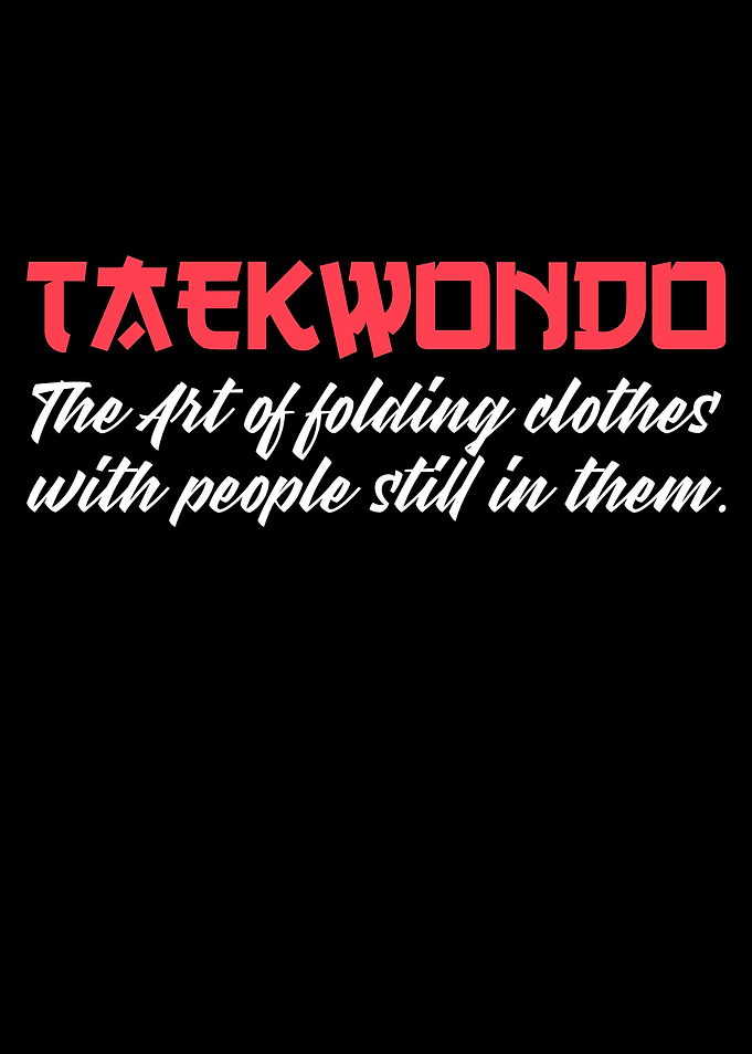 taekwondo the art