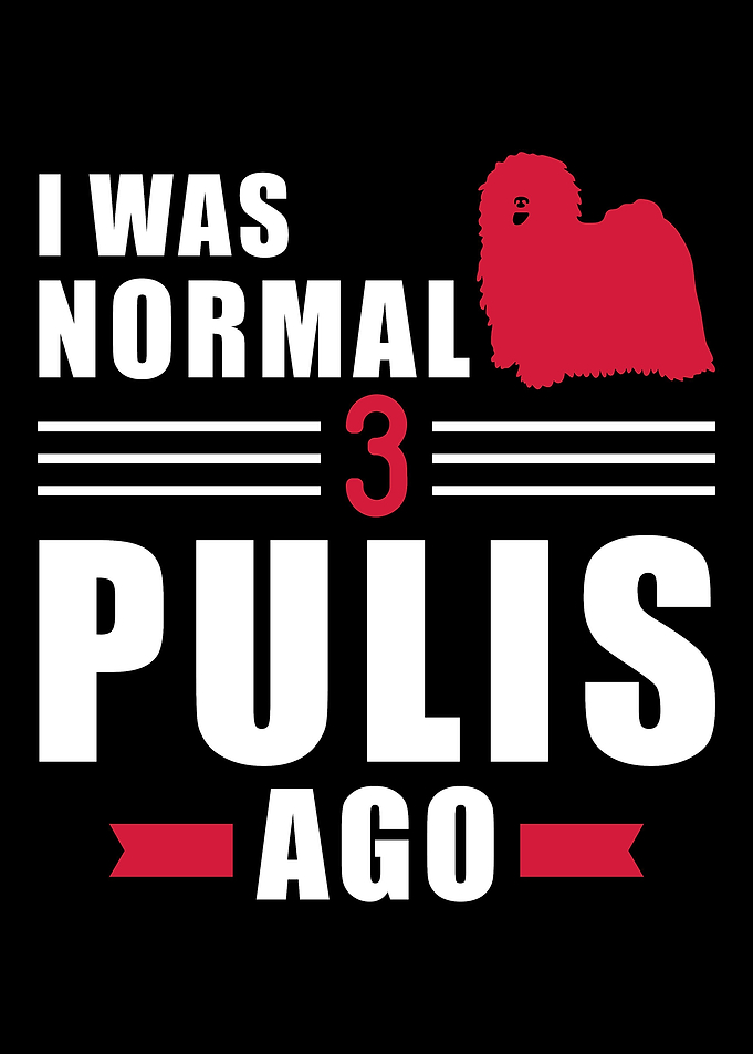 Puli