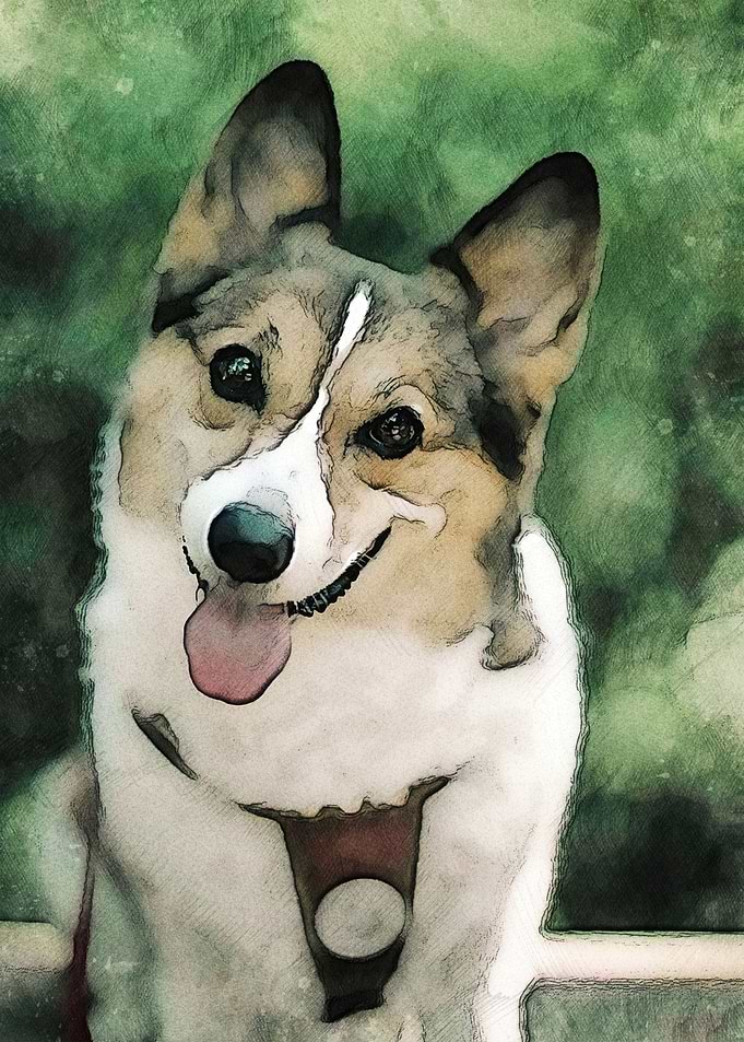 Smiling Dog