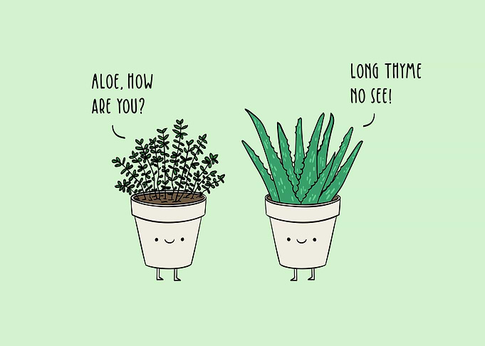 Long Thyme No See