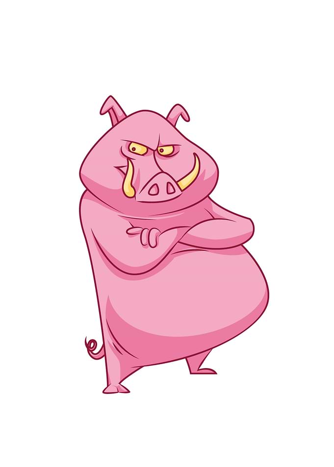 Pig