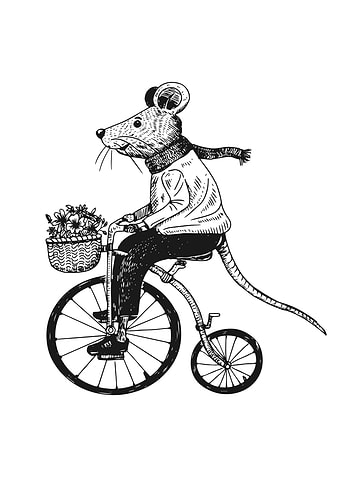 Mouse