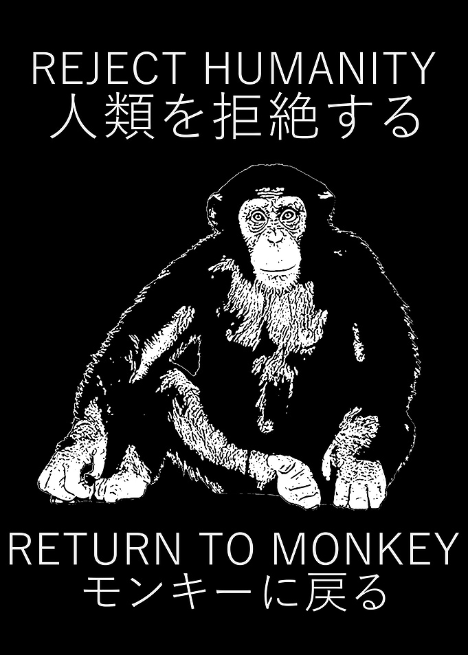 RETURN TO MONKE