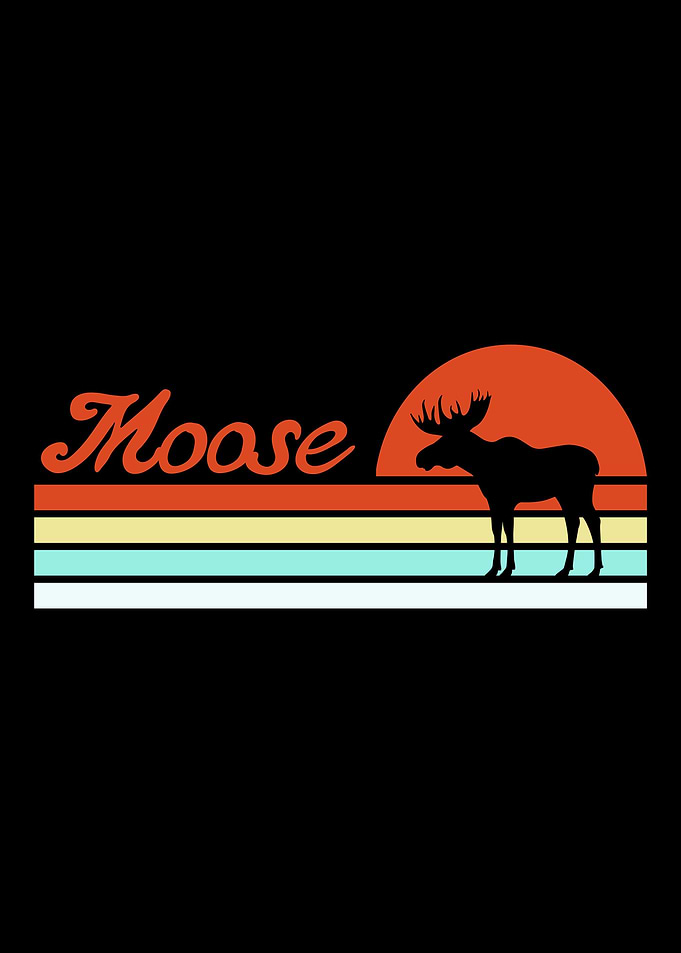 Moose Sunset Deer