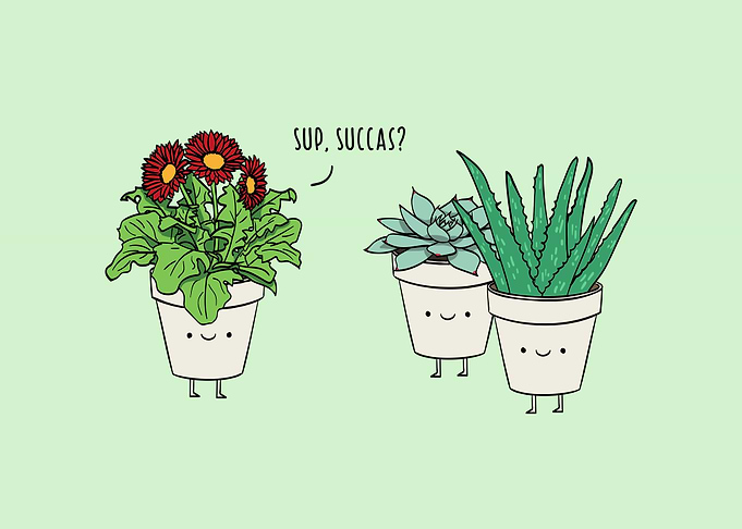 Sup Succas