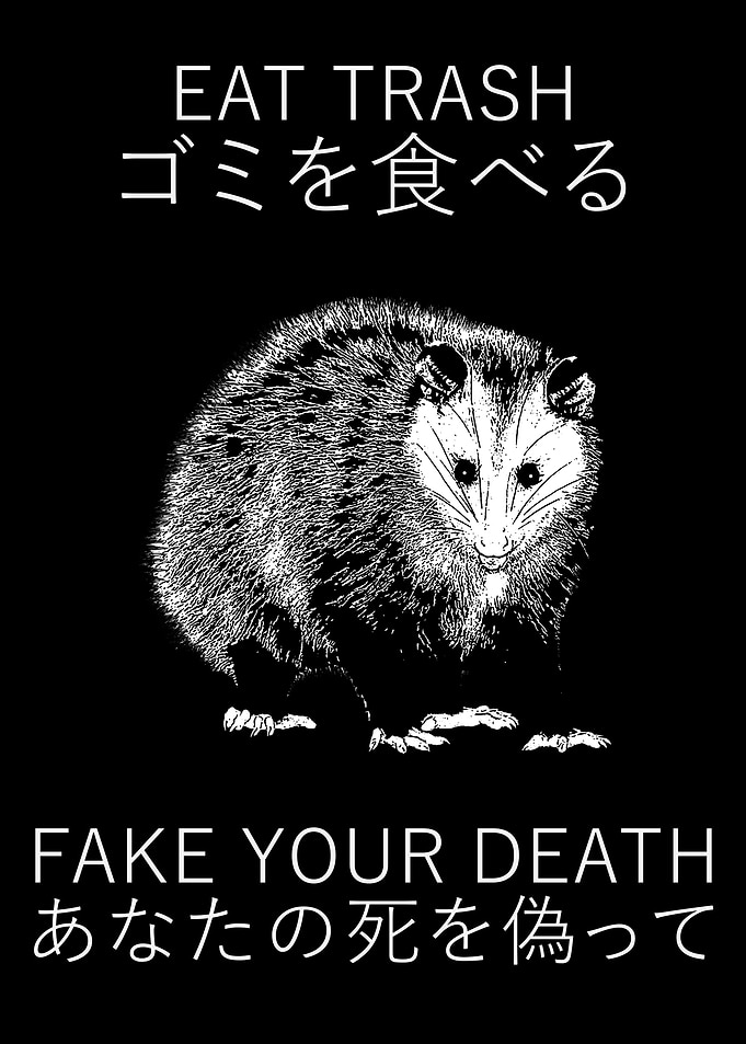 EAT TRASH OPOSSUM