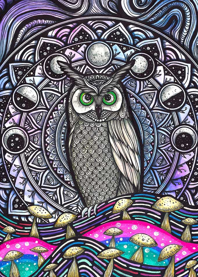 Great Owl Mandala Artwork