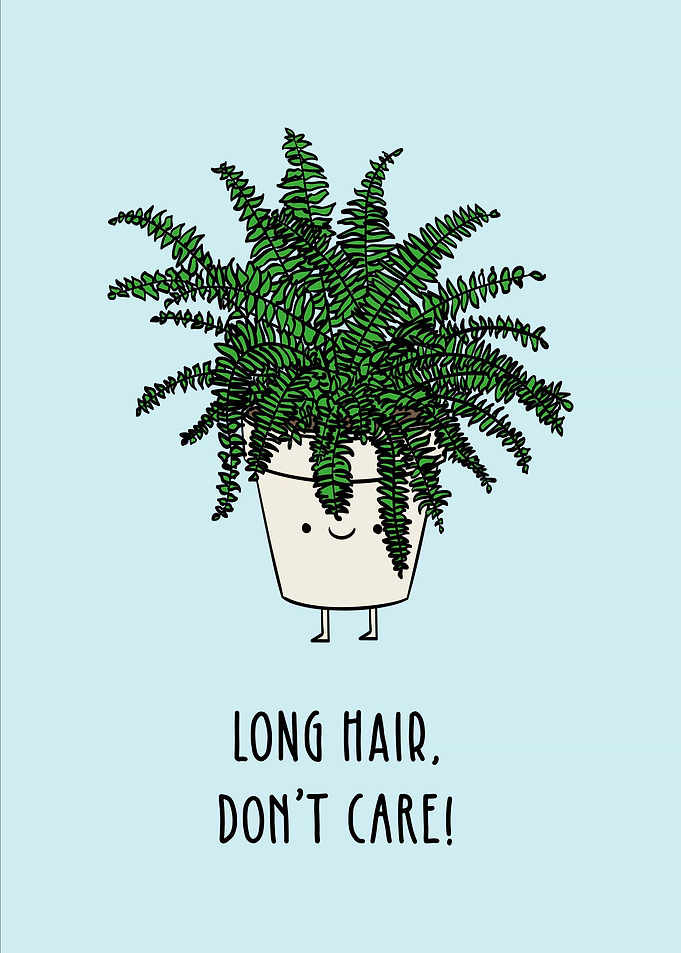 Long Hair Dont Care