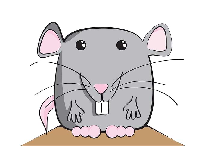 Mouse