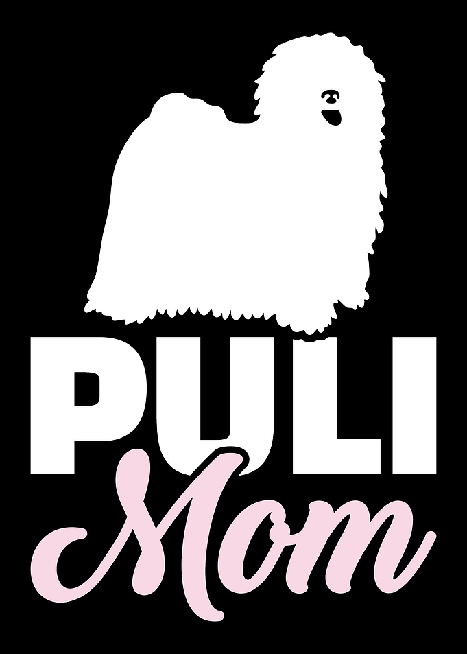 Puli