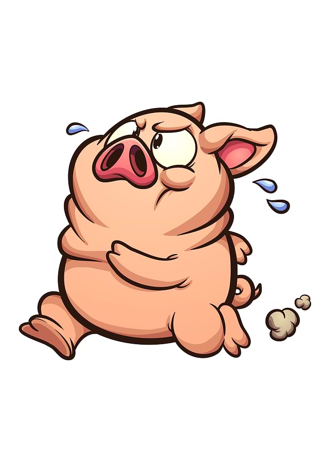 Pig